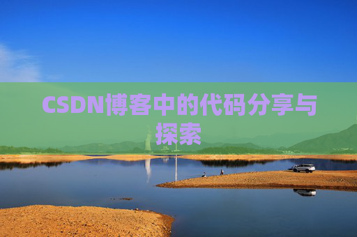 CSDN博客中的代码分享与探索